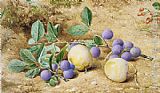 John William Hill Plums painting